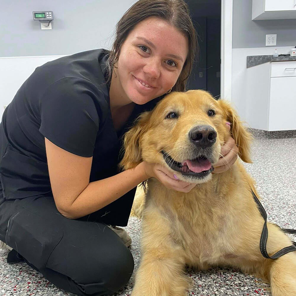 A happy pet enjoying their visit to Hightowers Animal Hospital for expert veterinary care.