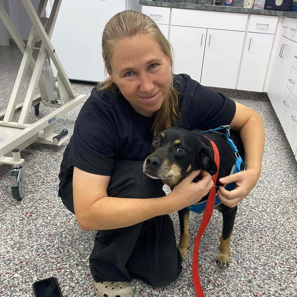 veterinary team member kneeling next to a dog