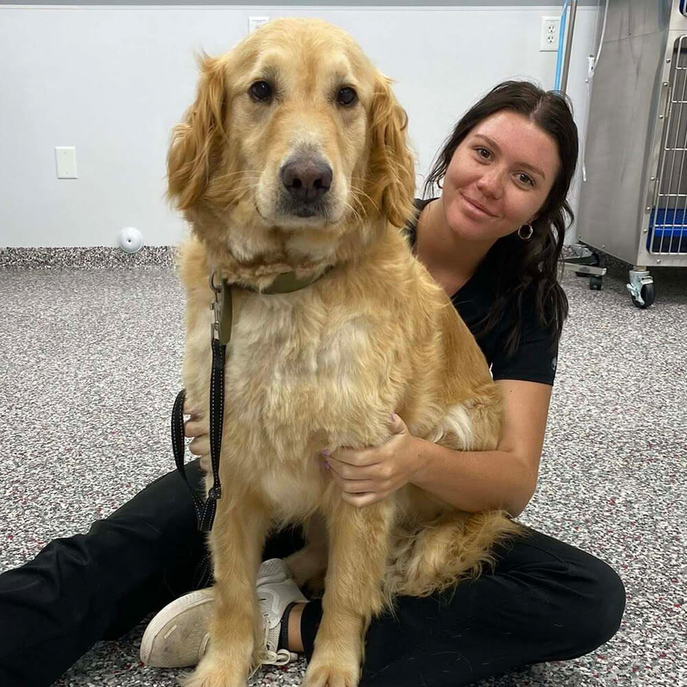 woman with a golden retriever sitting on her lap