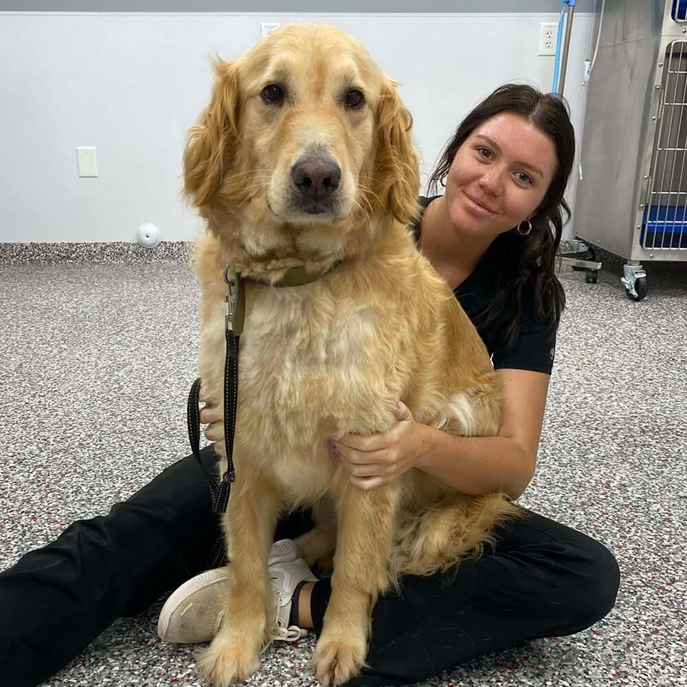 woman with a large golden retriever sitting on her lap