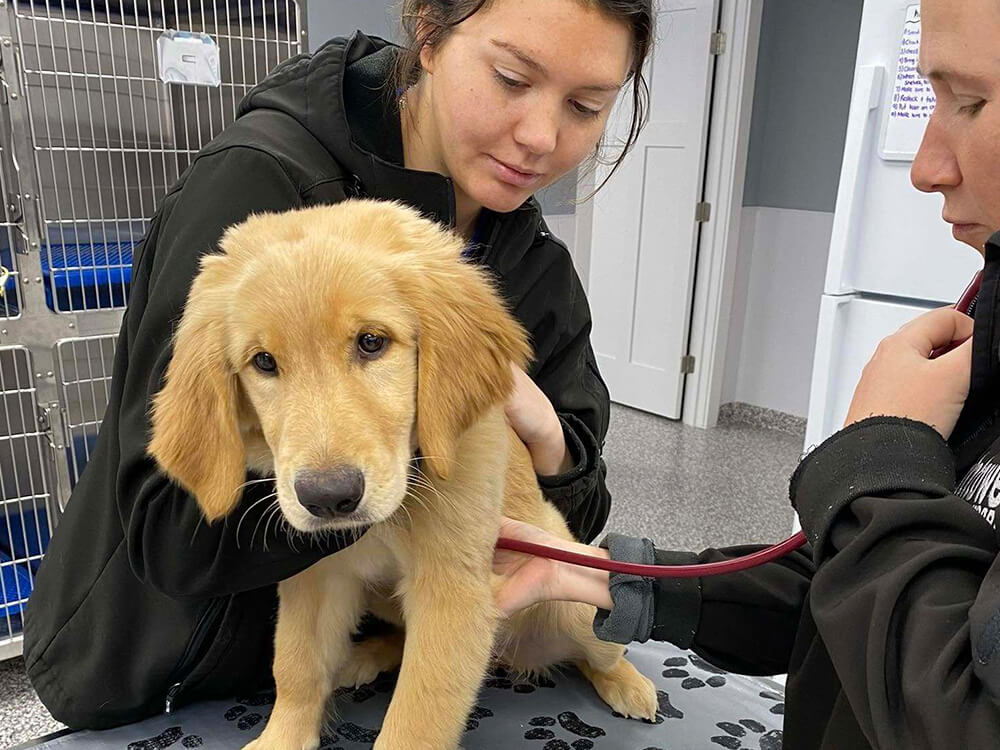 Preventive & Wellness Care CTA