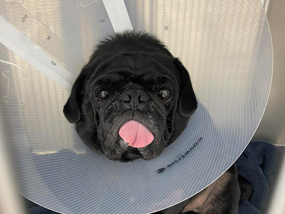 Surgery & Urgent Care CTA