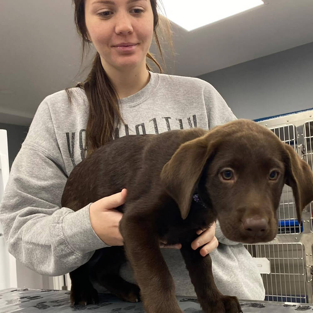 young-boy-with-his-dog-on-mountaintop-800px-sq-1 Puppy being held by vet assistant during a wellness exam
