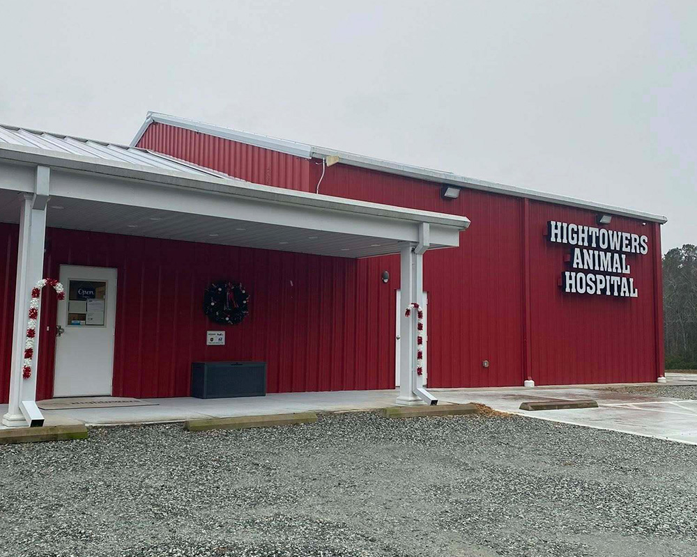 What Pet Owners Are Saying CTA