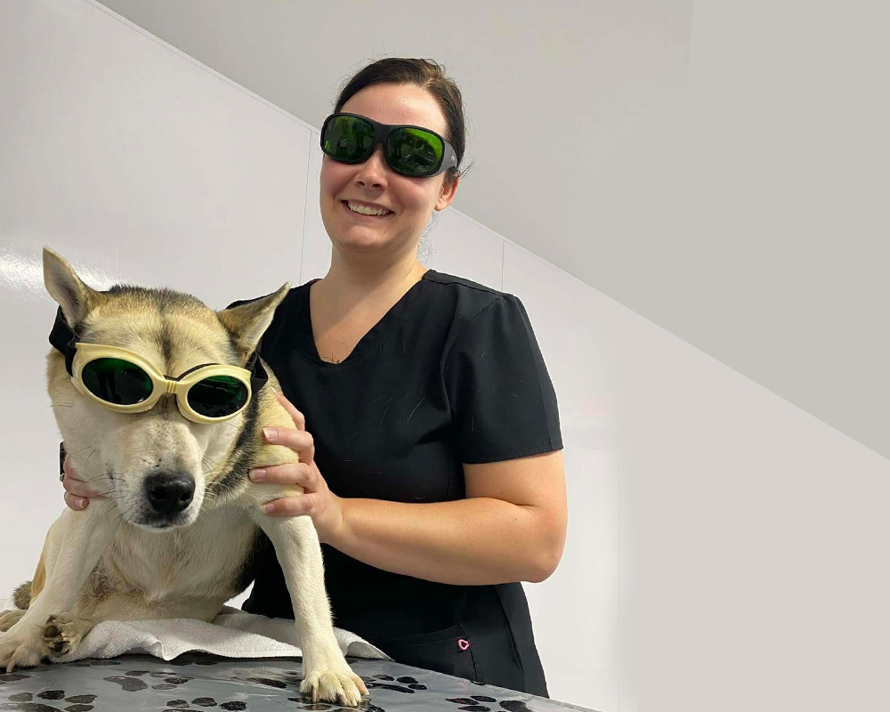 reviews - What Pet Owners Are Saying